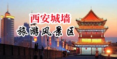 操我逼吧尻我鸡巴视频中国陕西-西安城墙旅游风景区